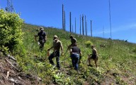 Pollinators Return to Walker Point Meadow After Major Oregon Habitat Restoration Effort