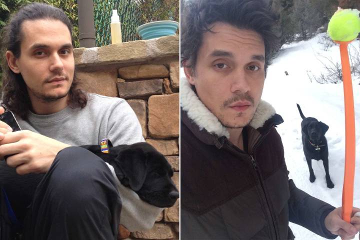 John Mayer Mourns Loss of Dog Moose, 14, Who Was Featured on His Album Cover