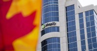 Shopify working to resolve login issues for merchants amid Cyber Monday