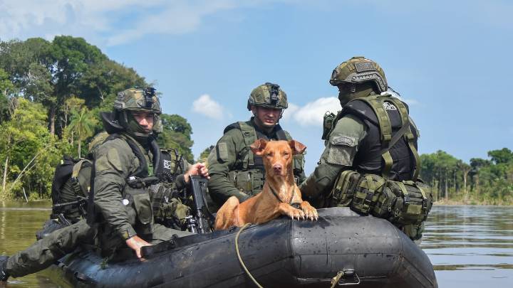 Ronaldinho: el perrito que sobrevivió a la crueldad de la minería ilegal