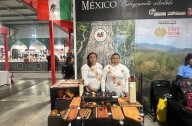 Mujeres mayas de Petcacab llevan su proyecto de muebles sustentables a feria internacional en Milán