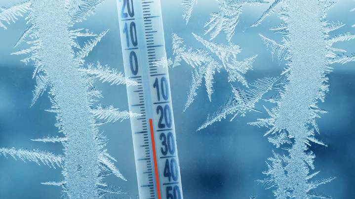 Brutal cold in the forecast means changes to holiday programming