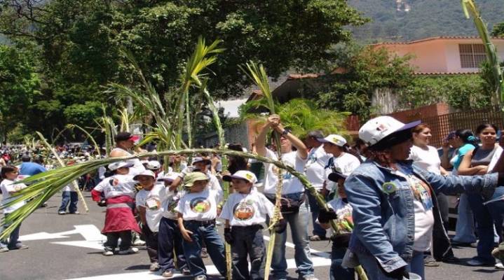Palmeros de Venezuela celebran aniversario como patrimonio