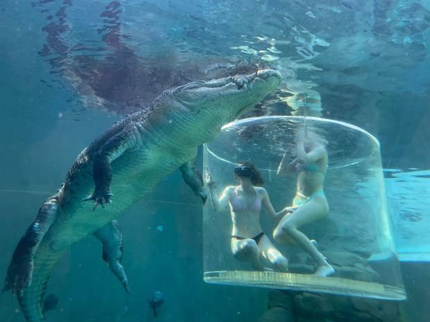 Travel: Darwin, in Australia’s Northern Territory, is a crocodile capital