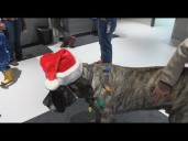 Missoula Animal Services provides winter pet safety tips