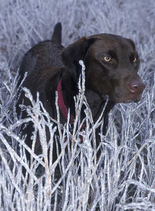 Woods, Waters, and Wildlife: Dress for Success Outdoors