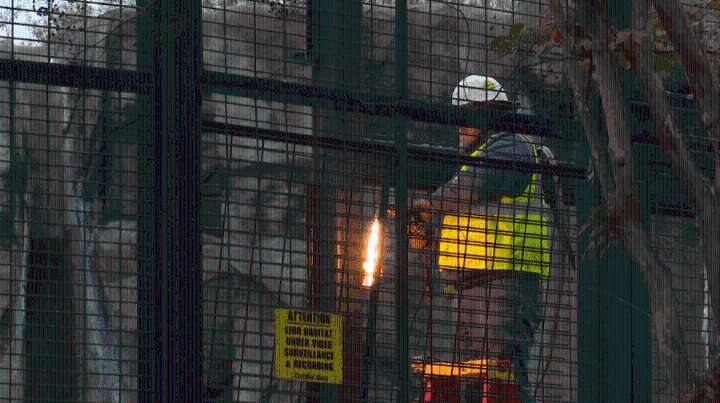 UNA lion habitat demolition underway, new green space to come