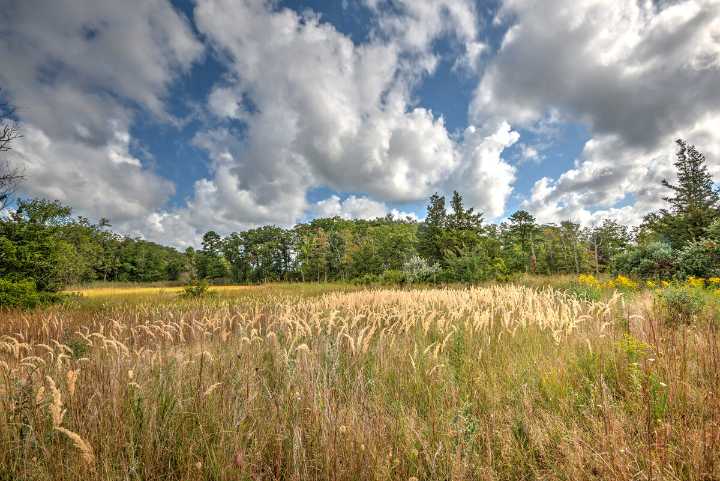 Resident spots man with gun hunting in Barrington wildlife preserve