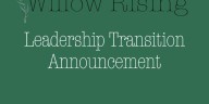 Willow Rising announces new interim executive director