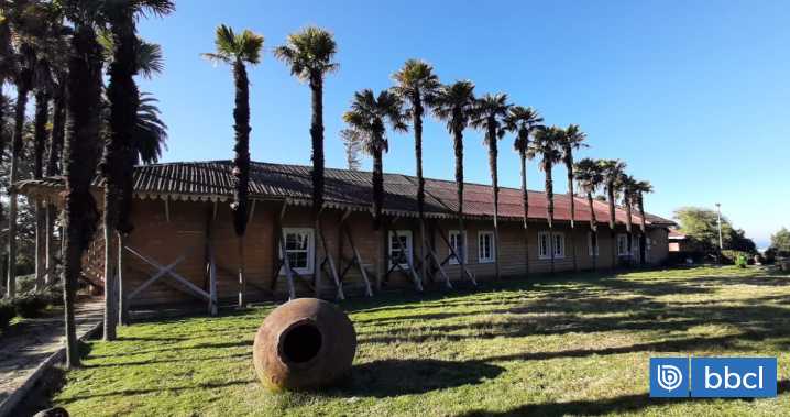 Acusan traslado sin permiso de piezas desde museo Pedro del Río Zañartu al GORE Bío Bío