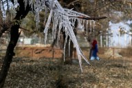 Pulwama Hits –5°C as Kashmir Valley Shivers