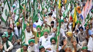 Samyukt Kisan Morcha to protest draft Seeds Bill, alleges it strengthens control of MNCs