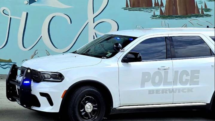 Berwick 14-year-old jailed for strangling her mother