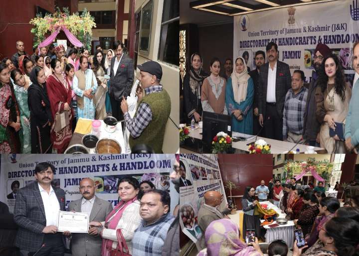 H&H Directorate hosts 1-day Workshop on Natural Dyeing of Wool, allied products