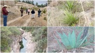 Crearán área natural en Guachochi por voluntad de habitantes📸🎦