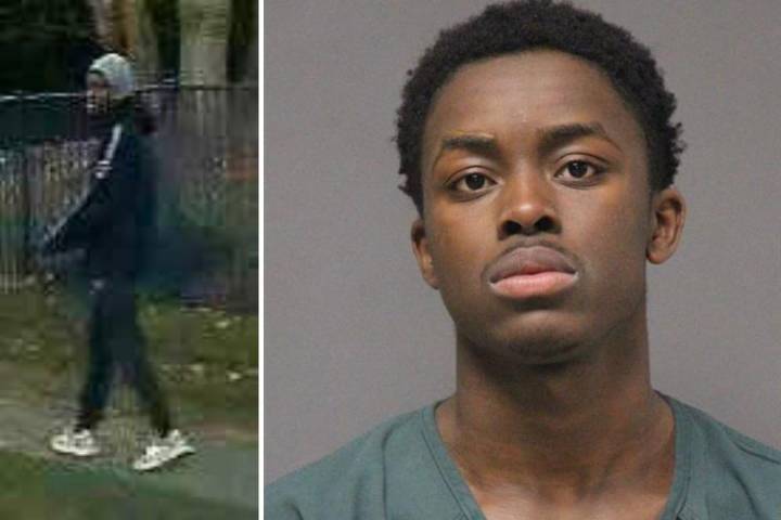 Freehold teen charged in Howell attack and Jackson stabbing