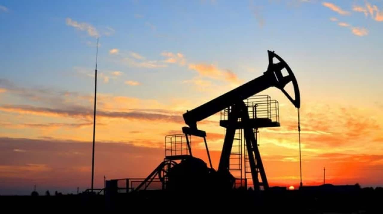 Parliament panel flags rising PSU oil capex amid falling domestic crude output