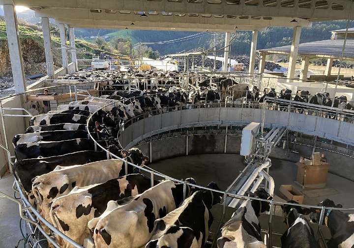 Asturias destina 20,1 millones para la modernación de las explotaciones agrarias