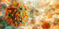 Avance inédito: logran crear el primer mapa molecular y en 3D del virus de la fiebre amarilla