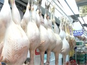 “Pavi Pandero”: separa tu pavo desde S/ 5 y asegura tu pavo para la cena navideña