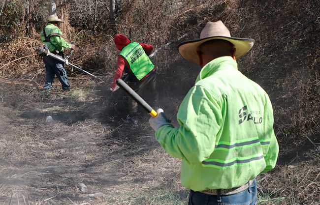 Refuerza alcalde Javier Díaz acciones de limpieza y deshierbe al sur de Saltillo