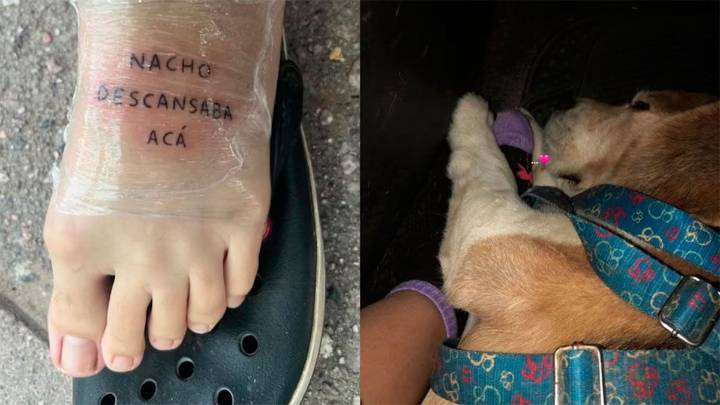 Se tatuó una frase por su perro Beagle y su historia conmovió a TikTok
