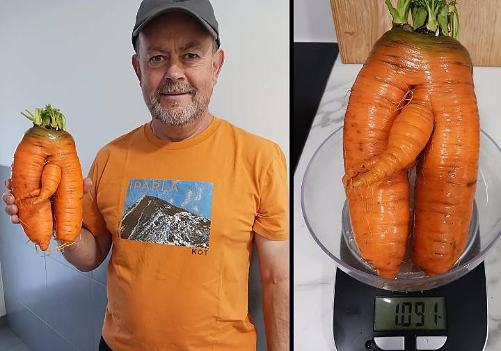 La zanahoria de más de un kilo surgida de Urretxu: «Cuando la desenterré no me lo podía creer»