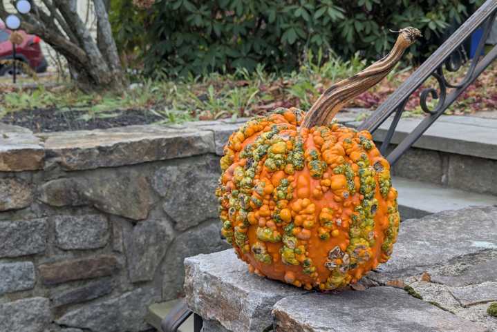 Some gourd