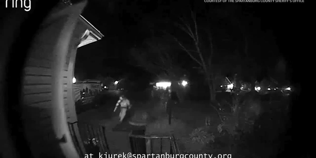 Minor accused of stealing packages, Christmas decorations expected to turn self in