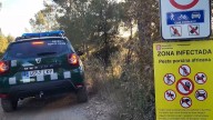 Analizan un jabalí atropellado por un tren en Cerdanyola del Vallès, Barcelona