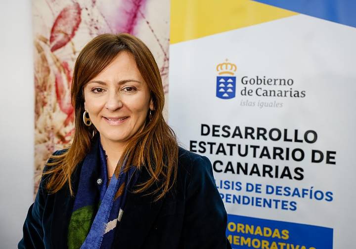 «Sería una sorpresa agradable que aprueben antes de que acabe el año alguna medida del decreto canario»