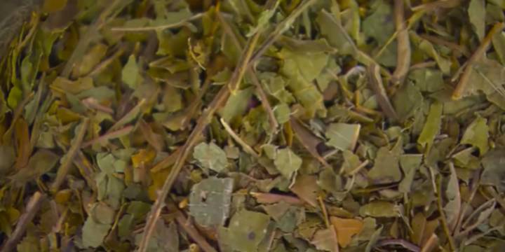 Investigation into Missouri kratom retailers expands, says AG