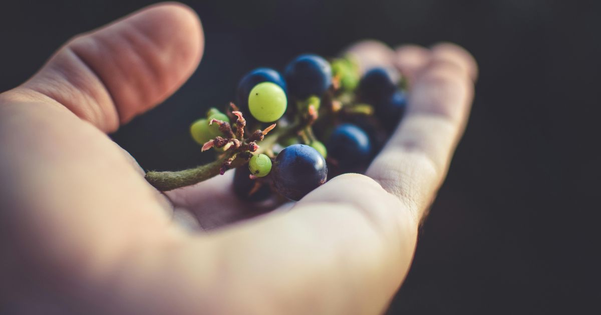 Tests find cancer-linked chemicals in 17 types of common fruit and veg