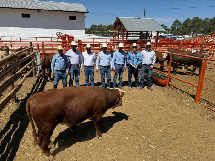 Más de 10 mdp para mejoramiento genético del ganado