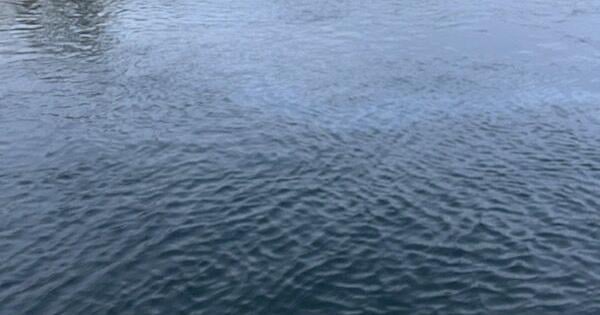 Priest Rapids Dam oil spill prompts Columbia River warning