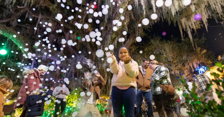 Louisiana lights up the season: Five beloved holiday traditions across the state
