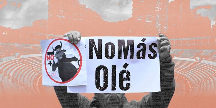 Qué pasó tras la sanción de la ley que prohíbe las corridas de toros en Colombia: demandas, concertaciones y disputas entre toreros y animalistas