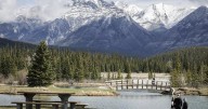 Parks Canada sites saw 13 per cent spike in visitors with Canada Strong Pass in place