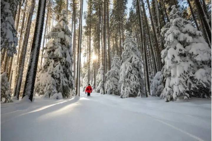 What will the weather be like in Saskatchewan this winter?