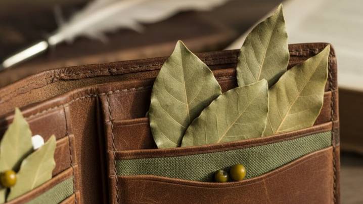 Qué significa tener hojas de laurel en la billetera según el Feng Shui