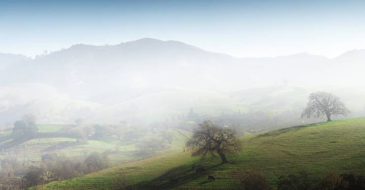 Bay Area Wrapped In Fog While 16-Foot Surf Creates Dangerous Beach Conditions