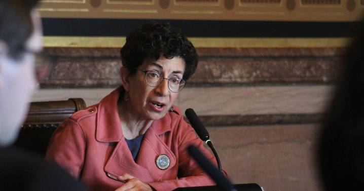Iowa Senate Democratic Leader Janice Weiner announces re