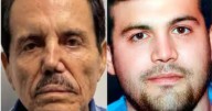 La traición dentro del Cártel de Sinaloa: Hijo de ‘El Chapo’ admite haber entregado a “El Mayo”