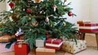 6 expert-backed ways to make your Christmas tree last longer