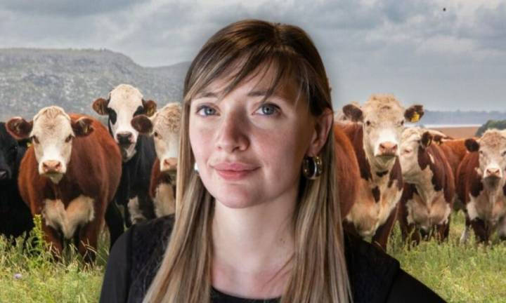 Polémica por el impuesto a los gases de las vacas: "El problema son los eructos y la bosta"