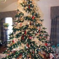 It is Time for The ONE "CHRISTMAS TREE CONTEST"