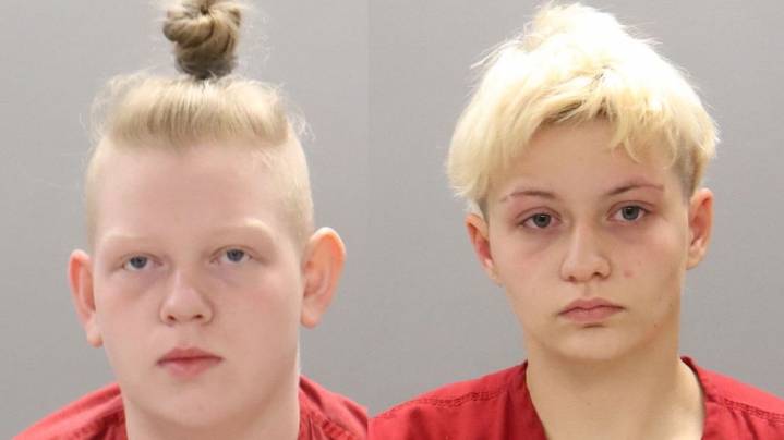 Two women accused of animal cruelty after police find 23 animals in their  Knoxville apartment