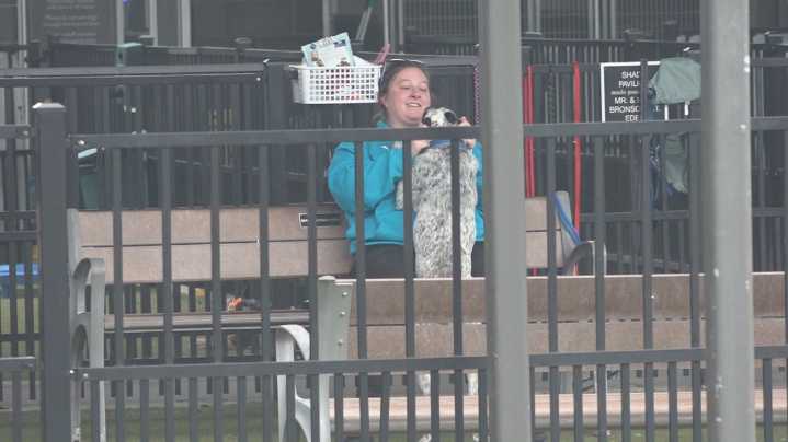 Lost Pets Waco map earns award for reducing shelter strain, speeding up reunions