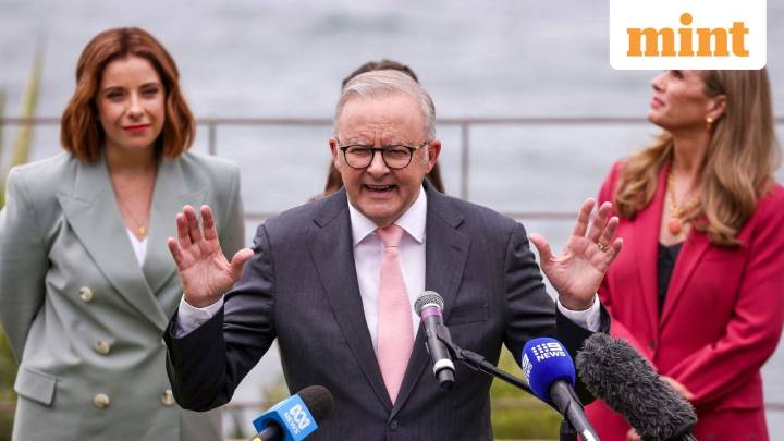 Albanese on social media ban for under 16: ‘Taking back control from big tech’