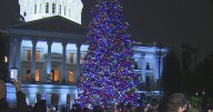 Sacramento tree lighting highlights how people can lift each other up